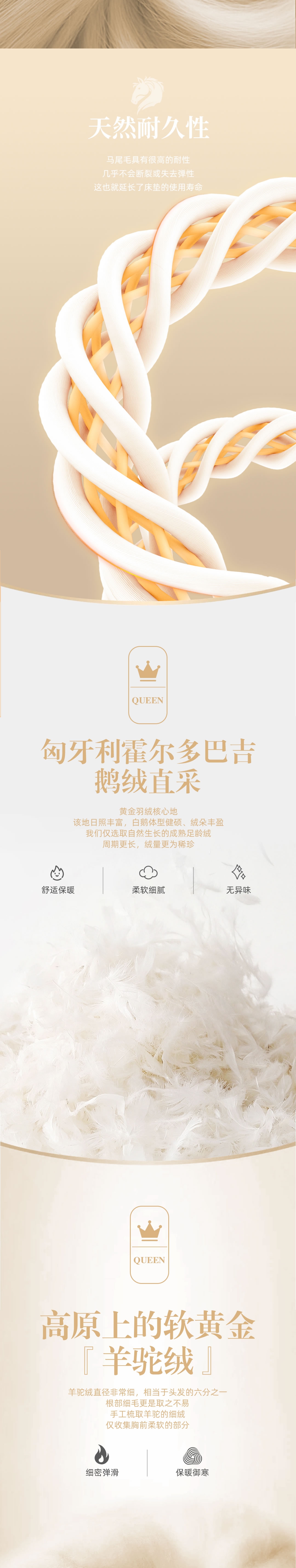 【女王系列床墊】THE QUEEN_3_1.JPG